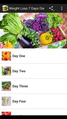 Weight Loss 7 Days Diet android App screenshot 5